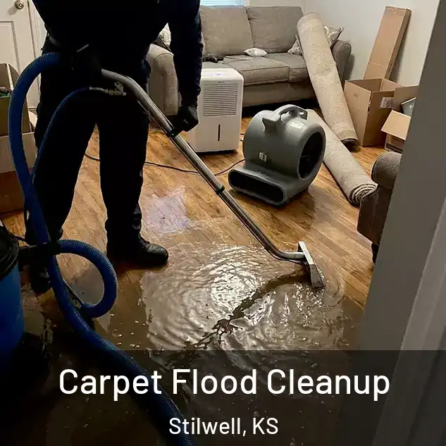  Carpet Flood Cleanup Stilwell, KS
