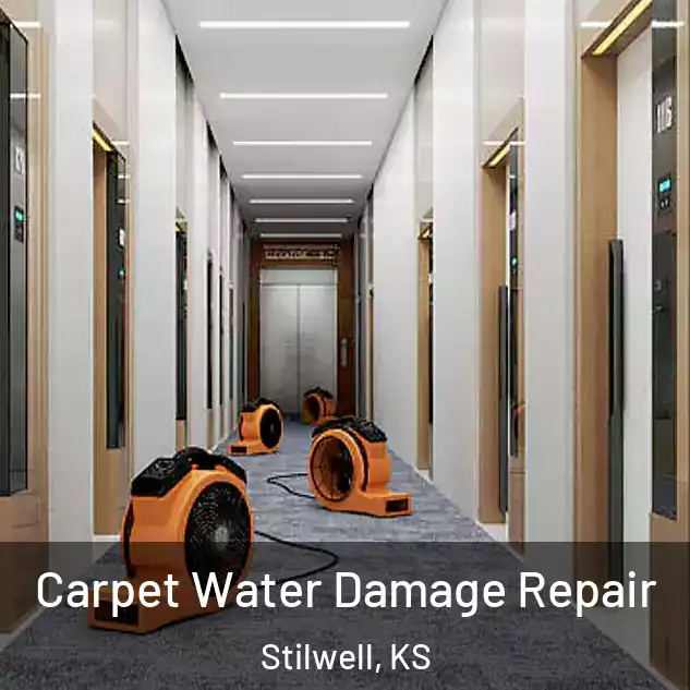  Carpet Water Damage Repair Stilwell, KS