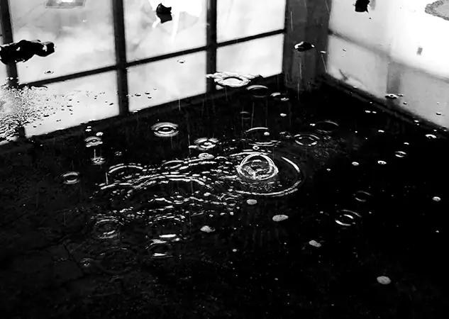 Your Contaminated Water Removal Specialists in Stilwell, KS