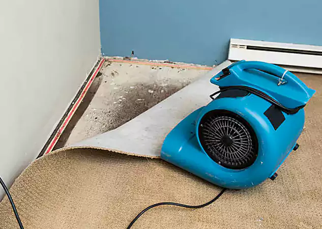 Your Water Damage Experts in Stilwell, KS