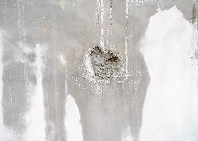 Your Mold Mitigation Solutions Partner in Stilwell, KS