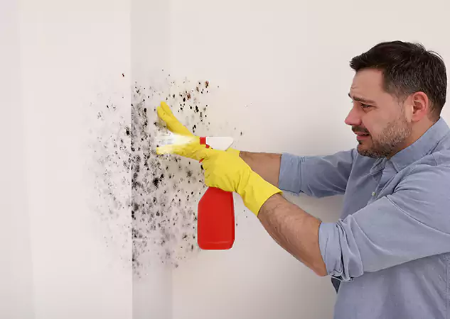 Your Water Mold Fire Restoration Partner in Stilwell, KS