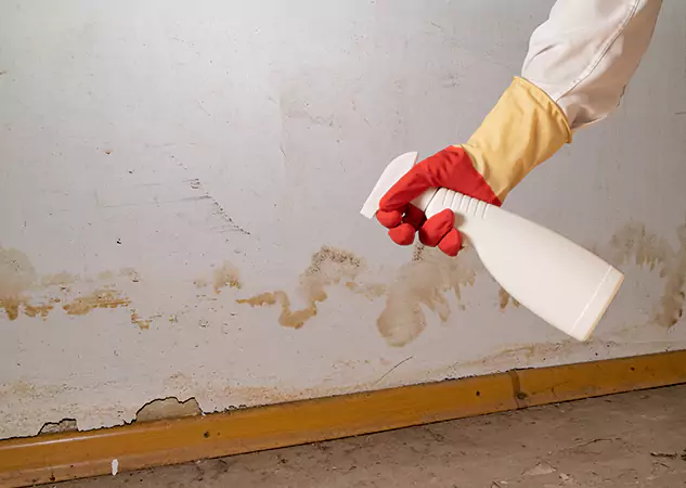 Your Water Restoration and Mold Remediation Specialists in Stilwell, KS