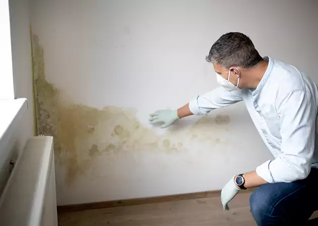Reach Our Remediation Team Before Damage Grows in Stilwell, KS!