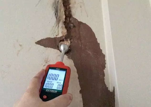 Your Water Damage Assessment Partner in Stilwell, KS