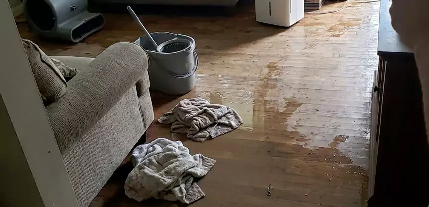Professional Basement Water Remediation Services in Stilwell, KS