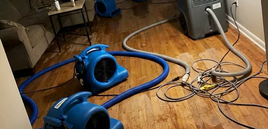 Basement Flood Restoration Services in Stilwell