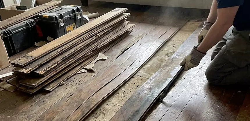 Wood Rot and Fungus Repair in Stilwell