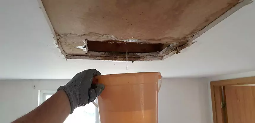 Ceiling Mold Repair Stilwell 