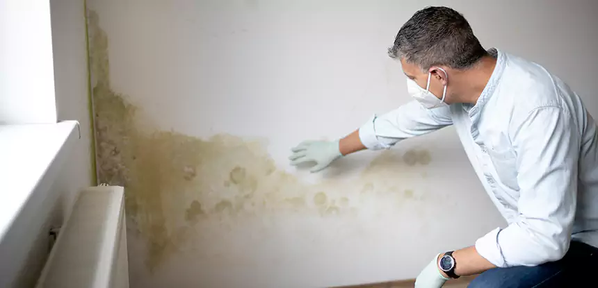 Mold and Water Damage Repair in Stilwell