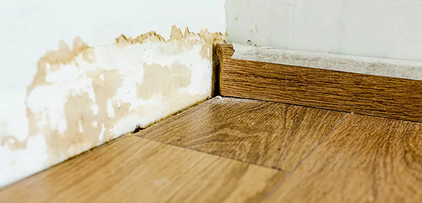 Professional Fix Water Damaged Wood Services in Stilwell, KS