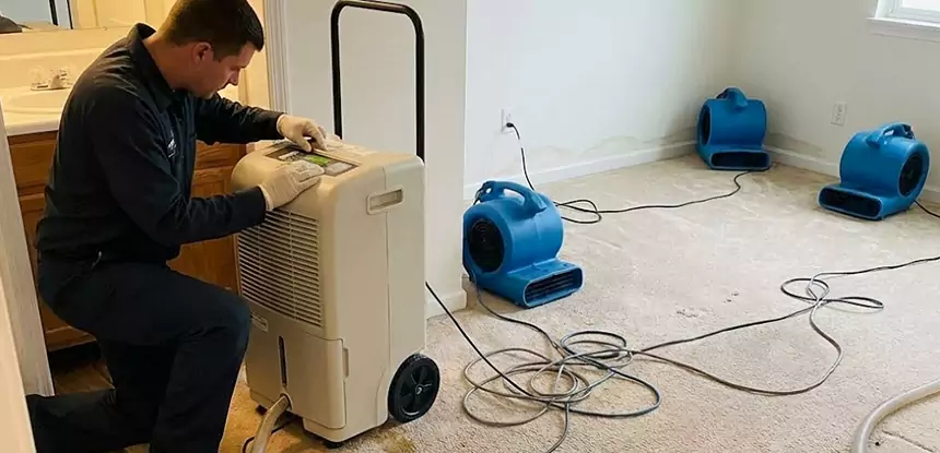 Professional Wet Carpet Removal Services in Stilwell, KS