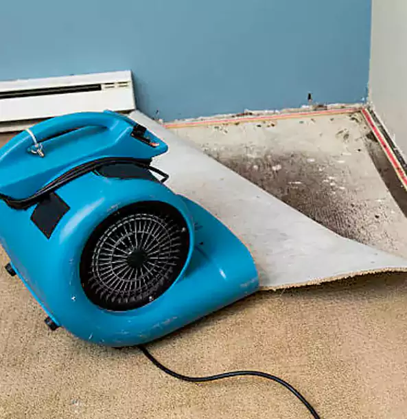 Why Stilwell Trusts Stilwell Restoration Pro for Carpet Flood Recovery?