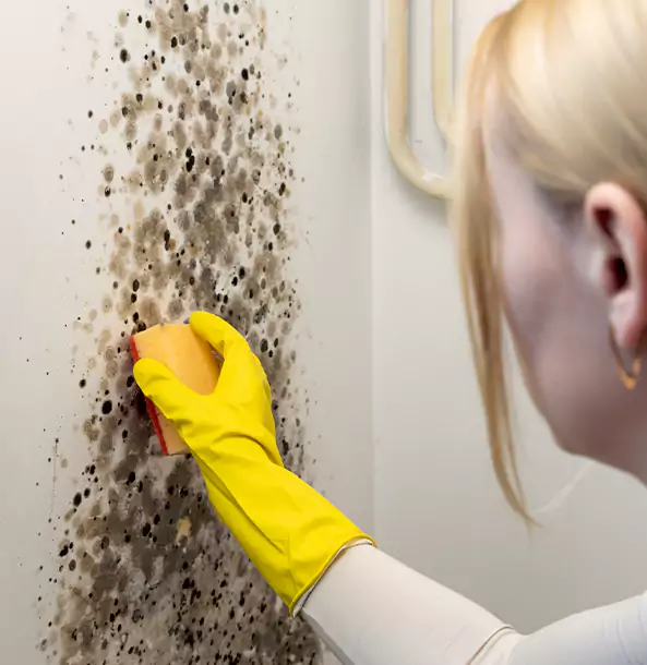 Why Stilwell Restoration Pro Leads Mold Remediation in Stilwell?