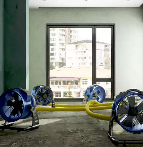 Why Stilwell Property Owners Trust Stilwell Restoration Pro for Water Damage Drying?