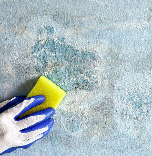 Why Stilwell Restoration Pro Is the Right Choice in Stilwell, KS?