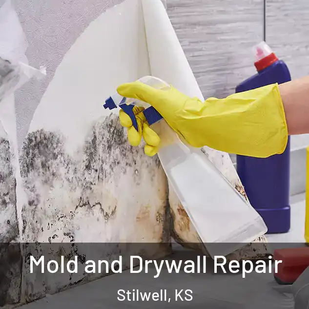  Mold and Drywall Repair Stilwell, KS