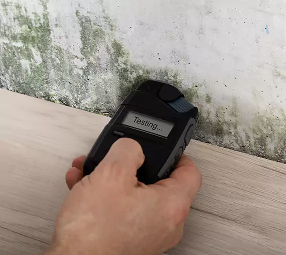 Mold Remediation Service Stilwell