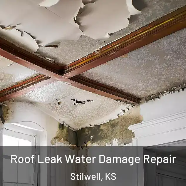  Roof Leak Water Damage Repair Stilwell, KS