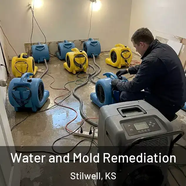  Water and Mold Remediation Stilwell, KS
