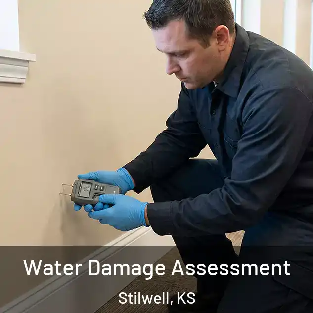  Water Damage Assessment Stilwell, KS