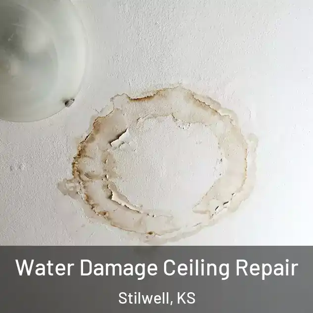  Water Damage Ceiling Repair Stilwell, KS