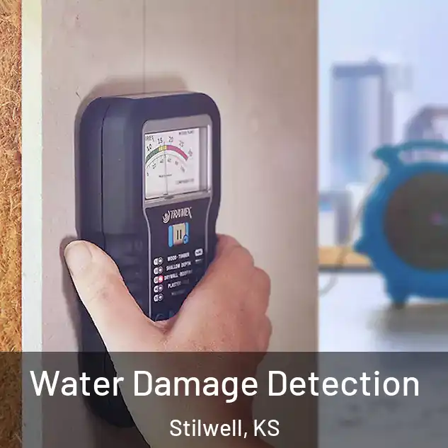  Water Damage Detection Stilwell, KS