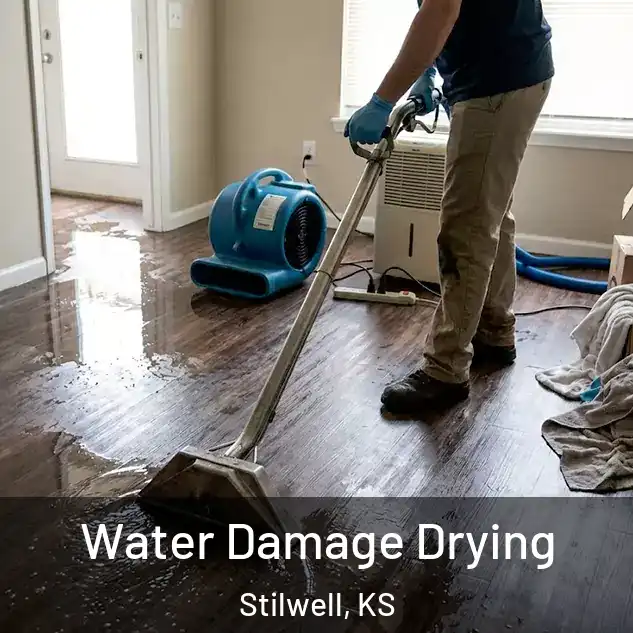  Water Damage Drying Stilwell, KS