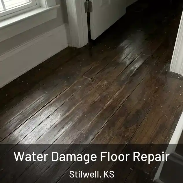  Water Damage Floor Repair Stilwell, KS