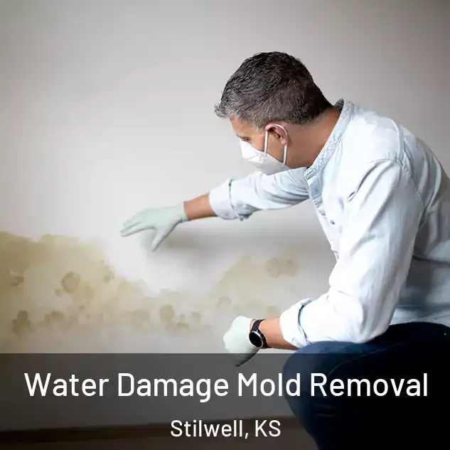 Water Damage Mold Removal Stilwell, KS