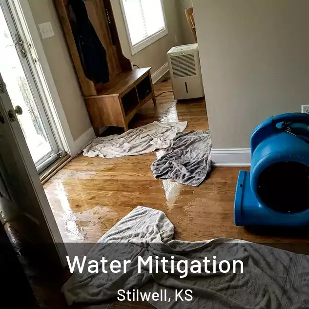  Water Mitigation Stilwell, KS