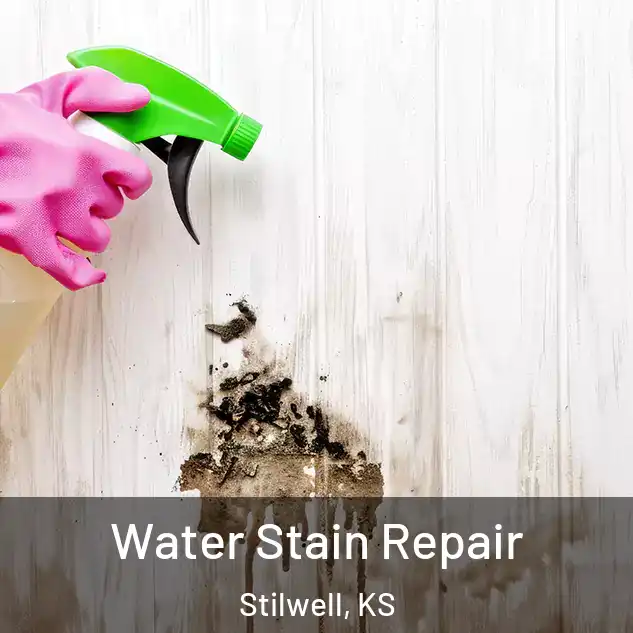  Water Stain Repair Stilwell, KS