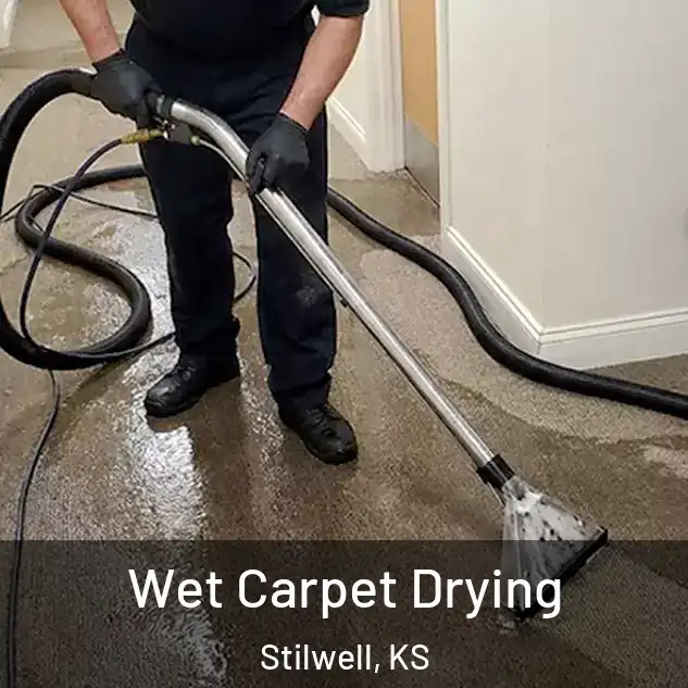  Wet Carpet Drying Stilwell, KS