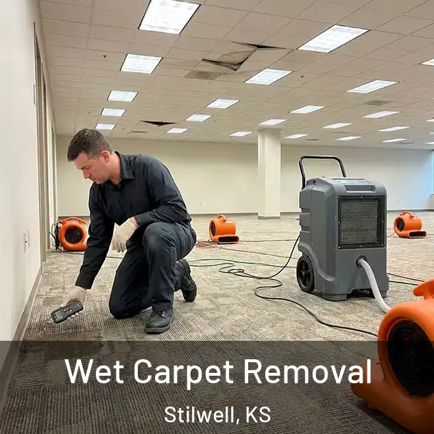  Wet Carpet Removal Stilwell, KS